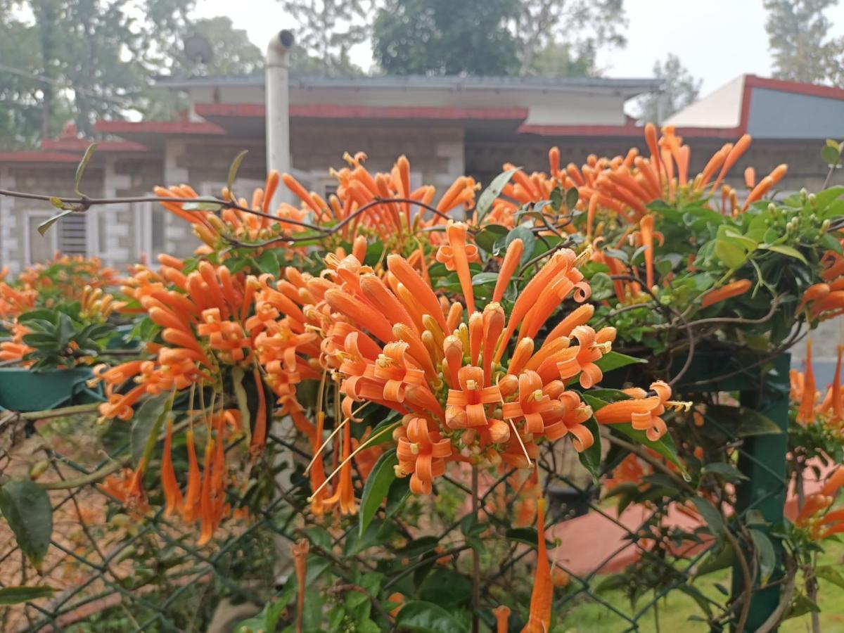 Отель Coorg Kolamotte Gonikoppal Экстерьер фото