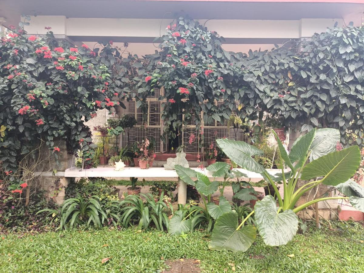 Отель Coorg Kolamotte Gonikoppal Экстерьер фото
