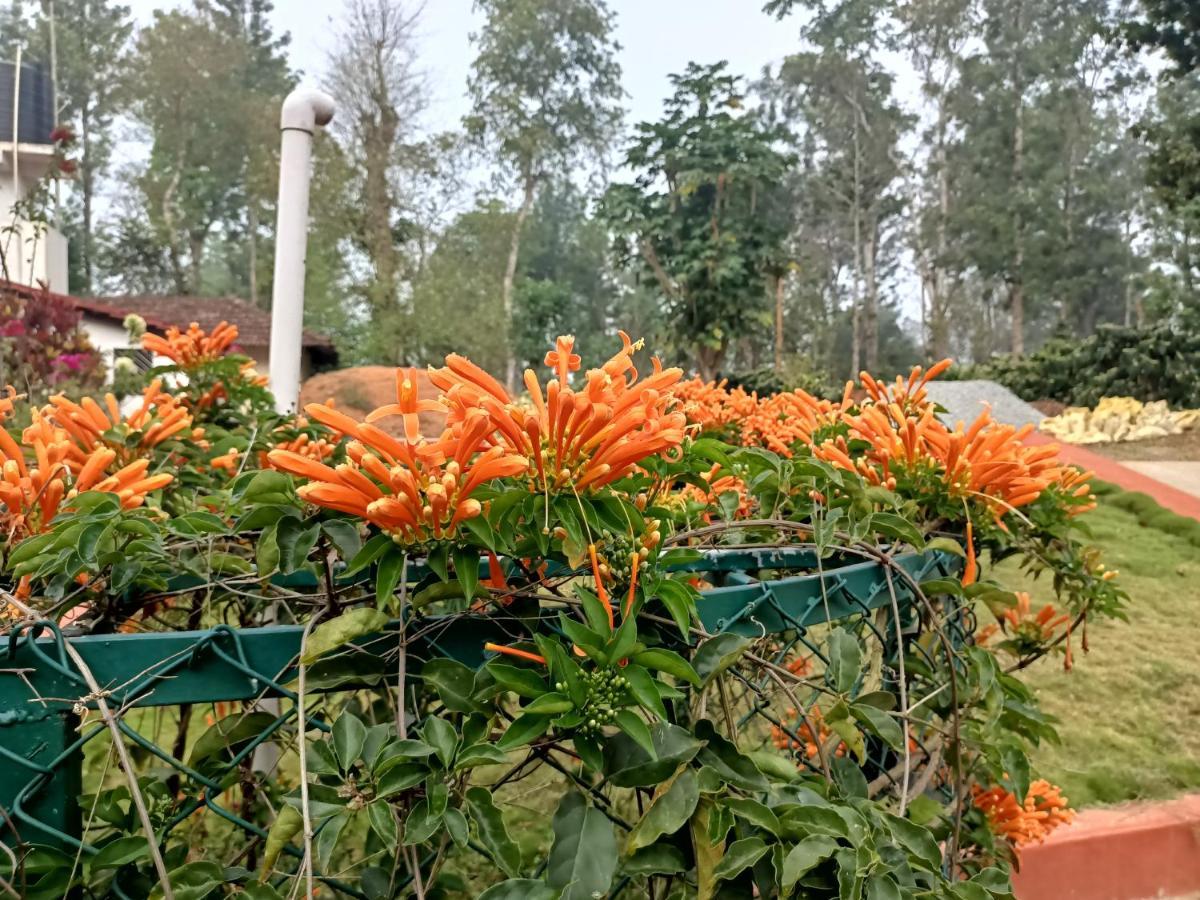 Отель Coorg Kolamotte Gonikoppal Экстерьер фото