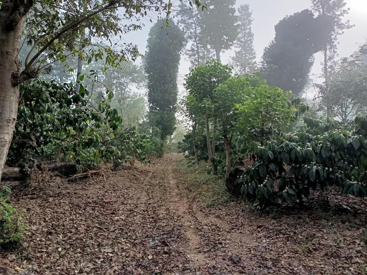Отель Coorg Kolamotte Gonikoppal Экстерьер фото