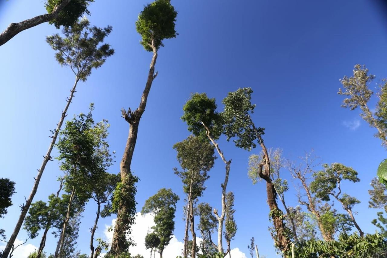 Отель Coorg Kolamotte Gonikoppal Экстерьер фото